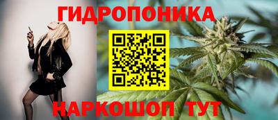 apvp Будённовск