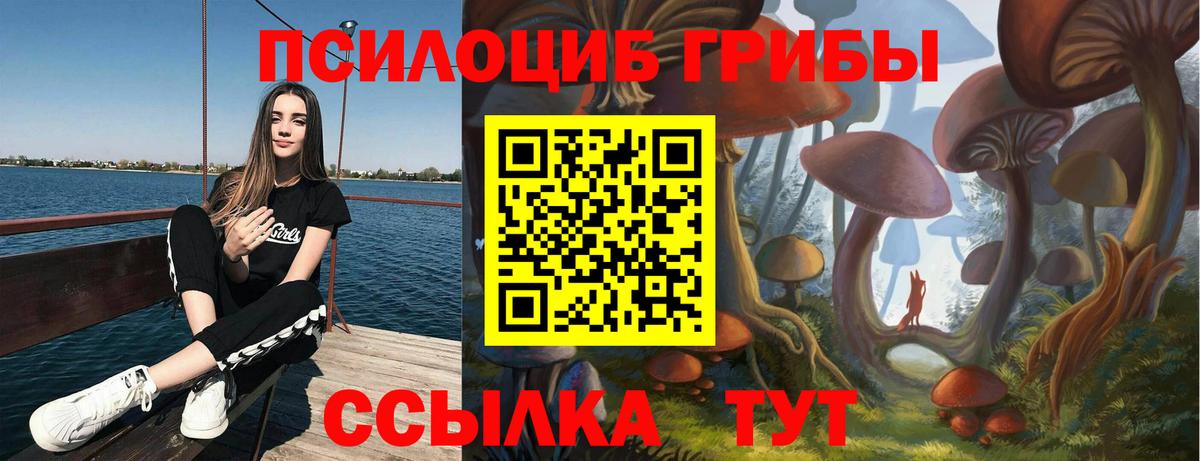 Псилоцибиновые грибы Psilocybine cubensis Куйбышев